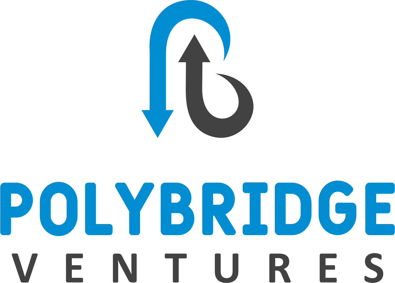 Polybridge Ventures Logo